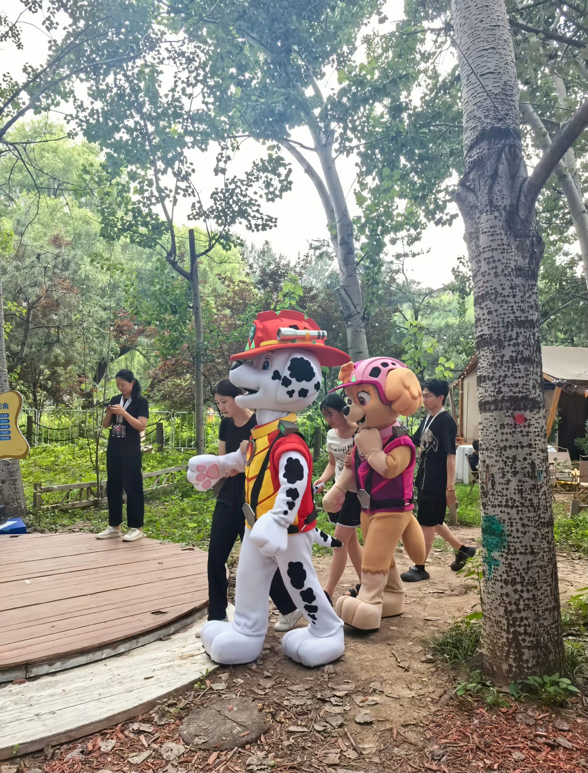 汪汪队大电影3首映连嗨两天 欢乐打卡《汪汪队立大功大电影3：勇闯恐龙岛》首映礼！