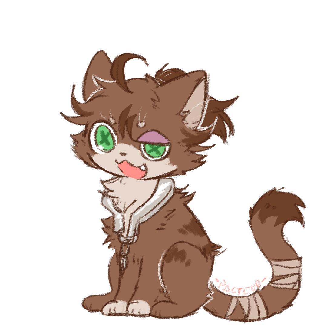 第五“猫”格～[锦鲤附体][锦鲤附体]来找找你推在哪👀#第五人格# ​​​