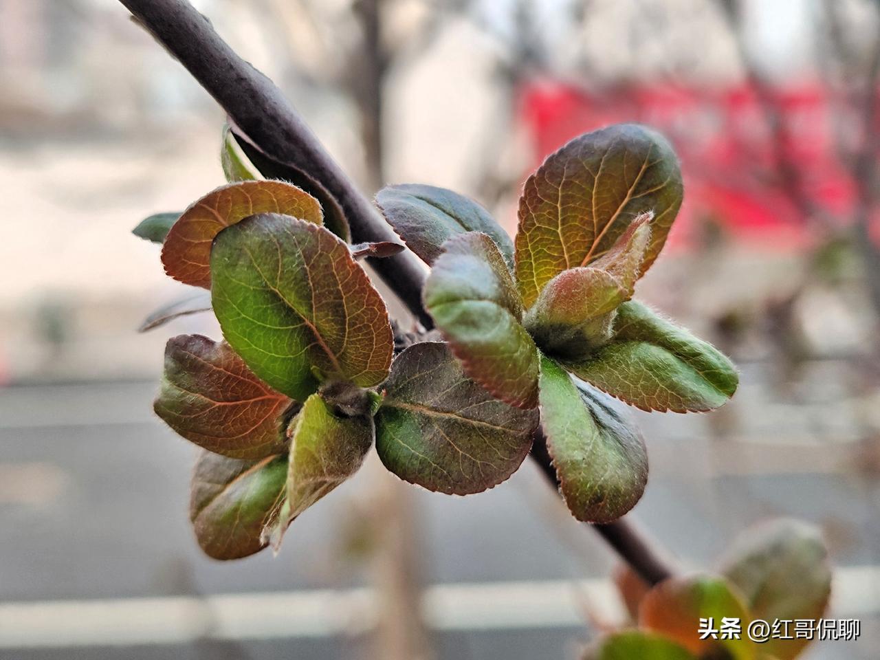 华能集团总部核心办公地 
 
一、总部已迁雄安（2025-10-09起）
 
-