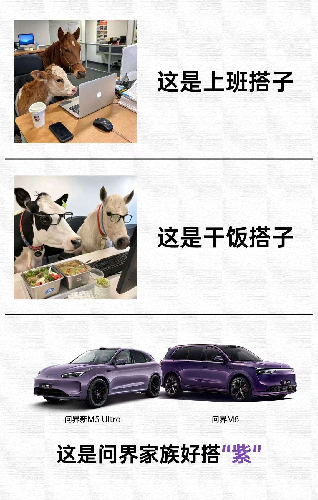 通勤&出游最佳拍档！问界M5 Ultra+问界M8，这对“搭紫”CP我嗑定了！