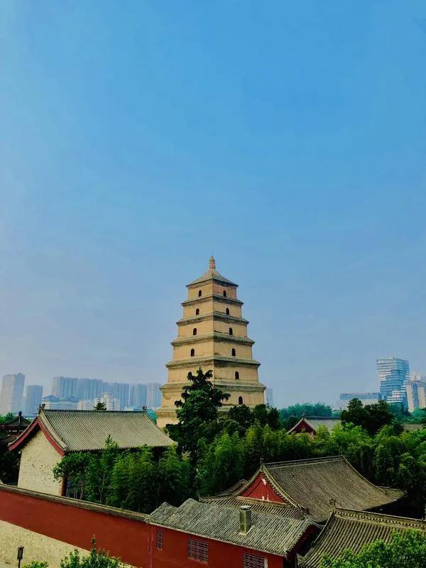 中国仅有的四座国家版本馆建在四个历史文化最为深厚、丰富且极具典型性与代表性的城市