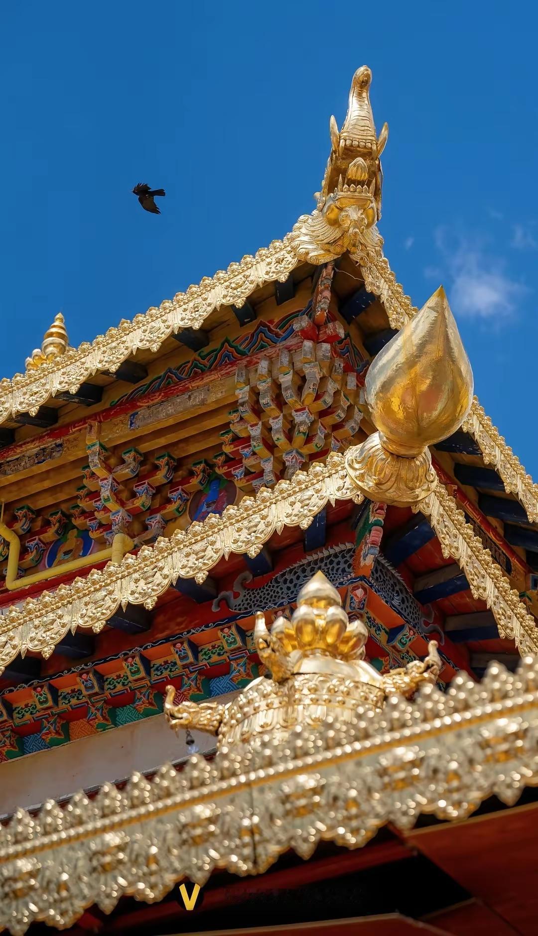 “率性之谓道”，那不率性是什么呢？

《中庸》：天命之谓性，率性之谓道。意思是说