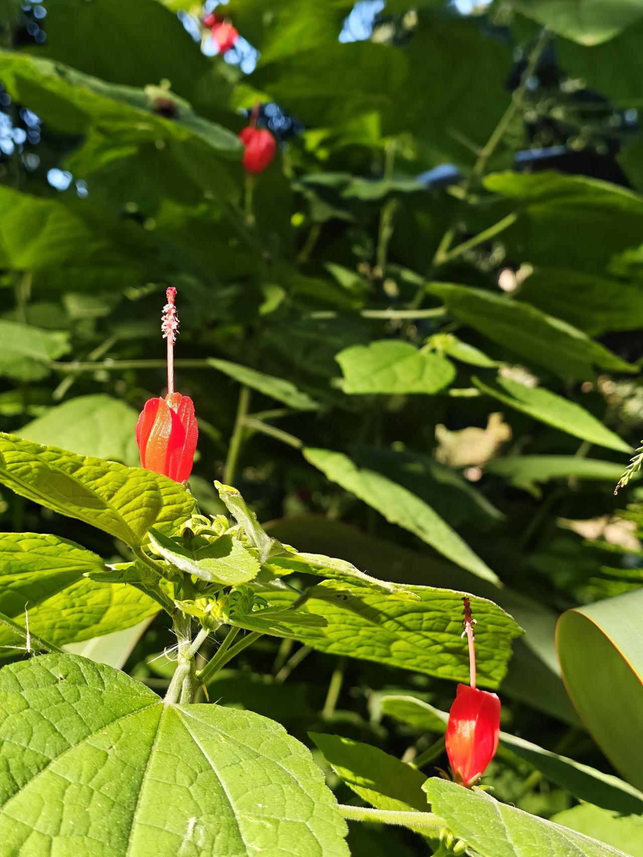 一个女人最骄傲的能力是什么？
不是多漂亮，
多有钱，
嫁的有多好，
而是千锤百炼