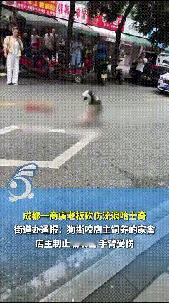 下手太重了！四川成都，一家厨卫店老板在街头砍伤流浪狗，导致脊柱受伤严重，最终选择