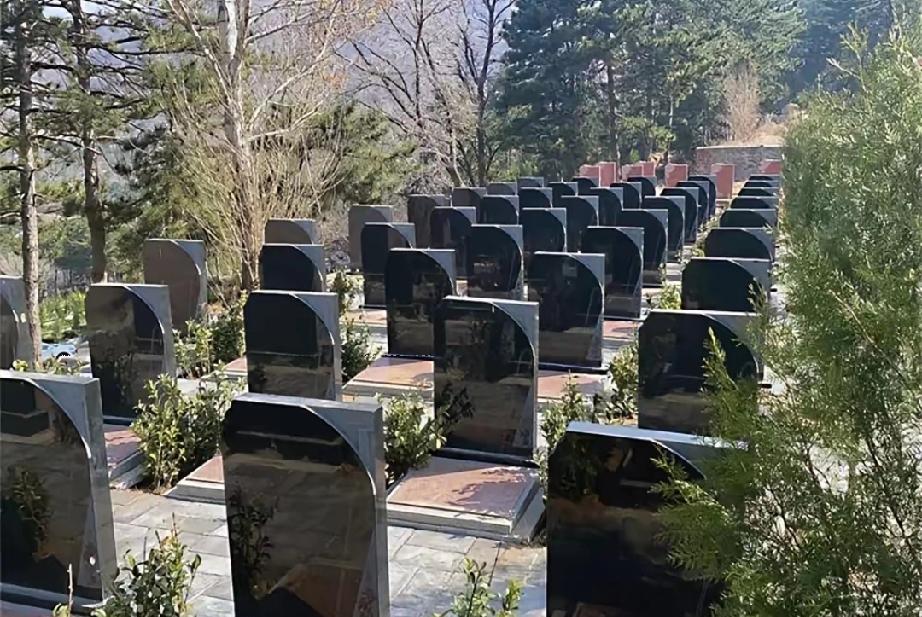 男子去父母墓地拜祭，顺便一次性缴清了20年的管理费，但他突然想到一个问题，浑身一