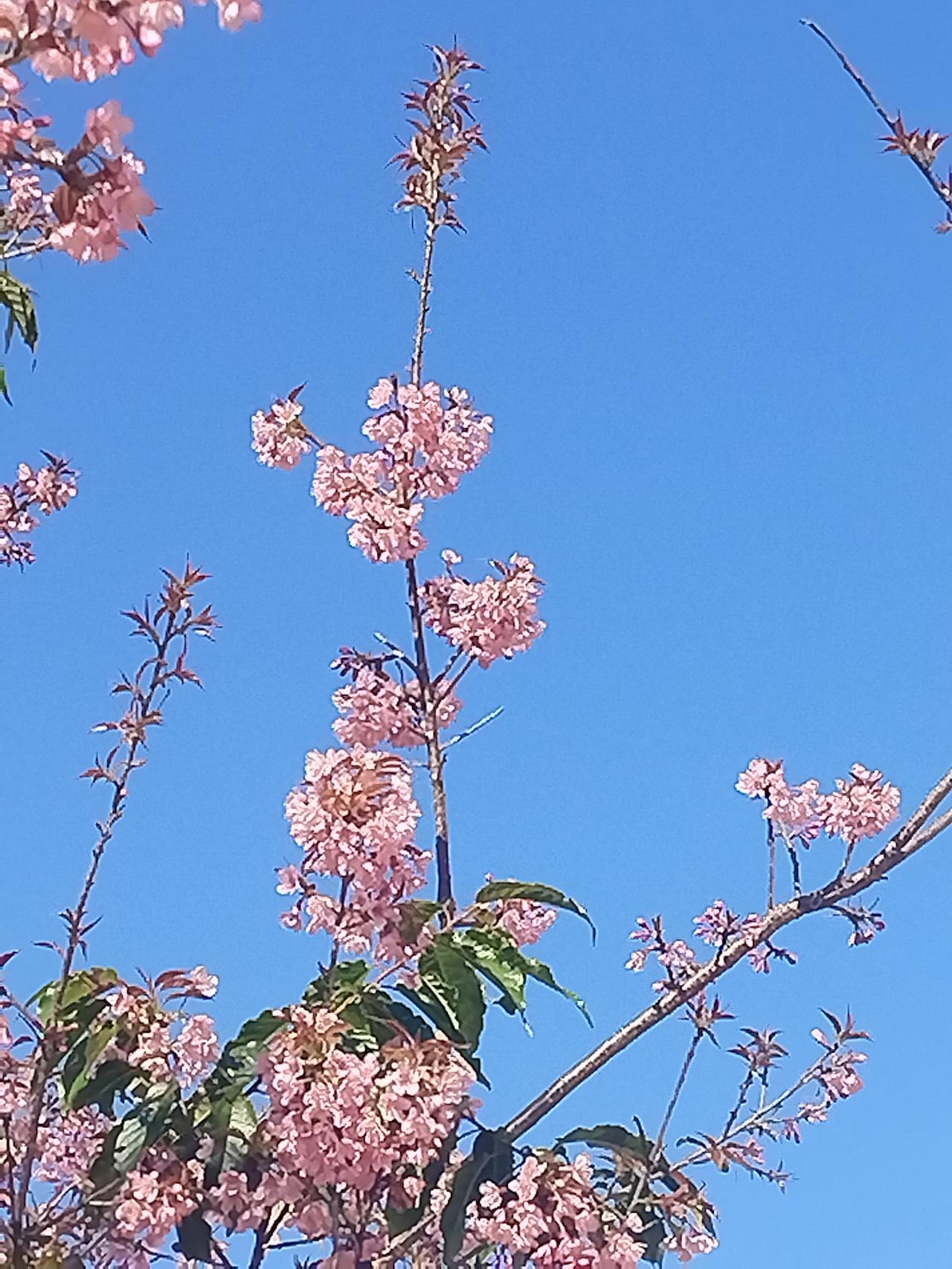 记录我的2026 迈进2026年，起跑的枪声已然打响！2026年是丙午马年，寓意