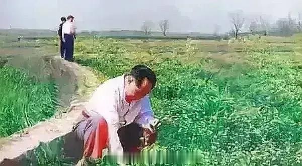 怎么回事？近几年，毛主席热不降反升🆙🚀，要知道，毛主席已经逝世快50年了，新