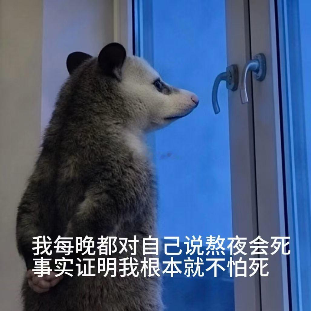 其实不想上班根本不需要辞职工作式摸鱼嘛，这个我最会了 开会的时候我经常横屏然后故