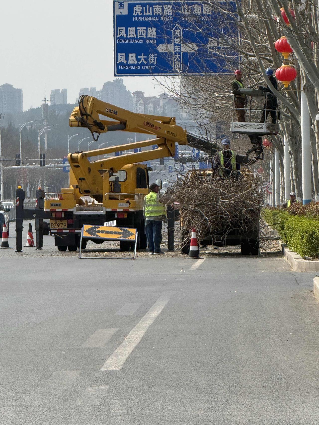 春天园林部门清剪树枝工作又开始了，相比很多年前现在真的进步很多了，很多年前都是拿