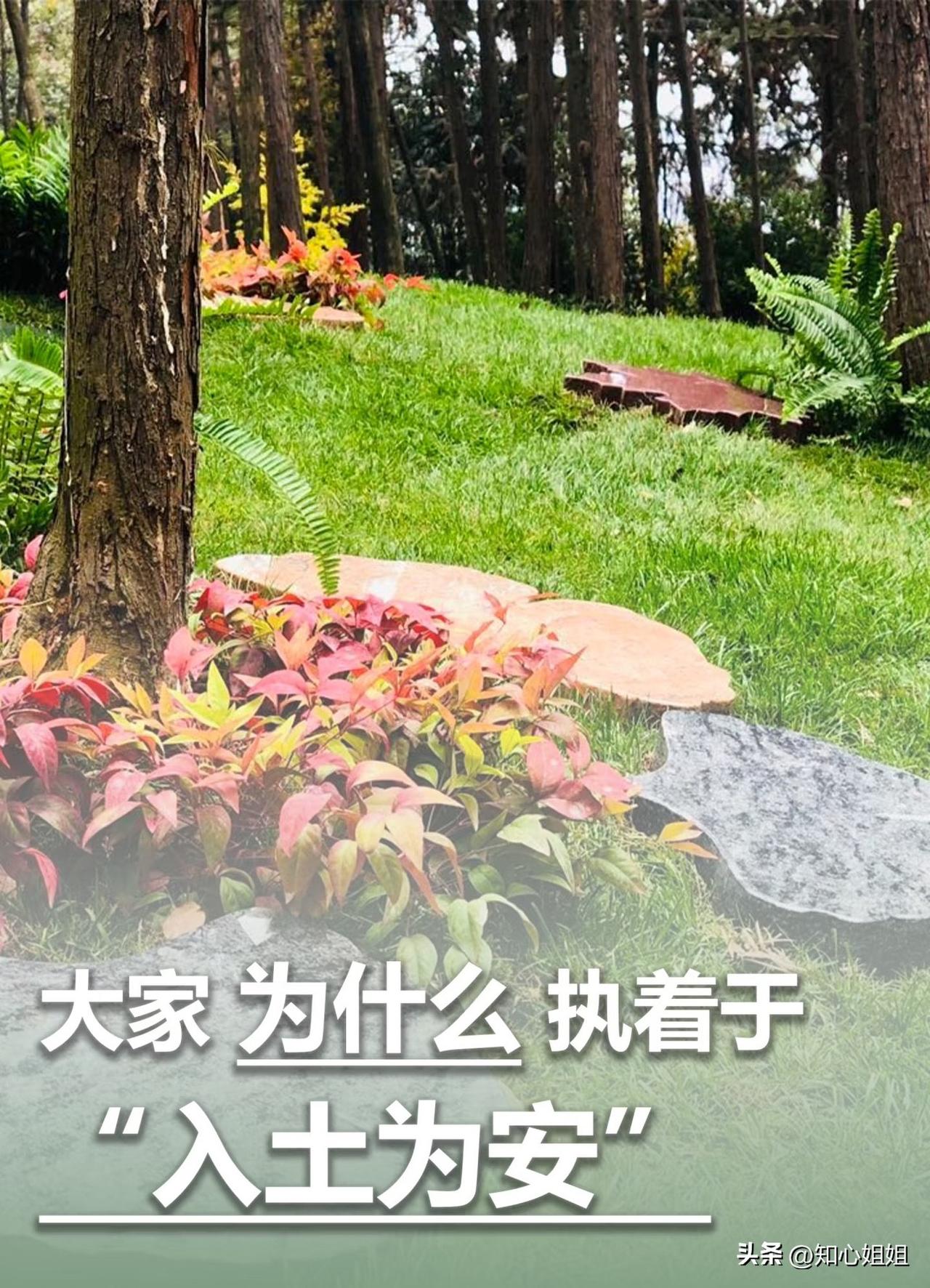一位社会学家沉重忠告说：
不久的将来，中国的丧葬，
一定会改变！以后的独生子女一
