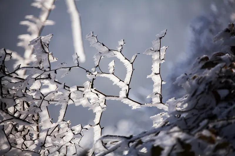 AI妙生图冬到数九冰上走。