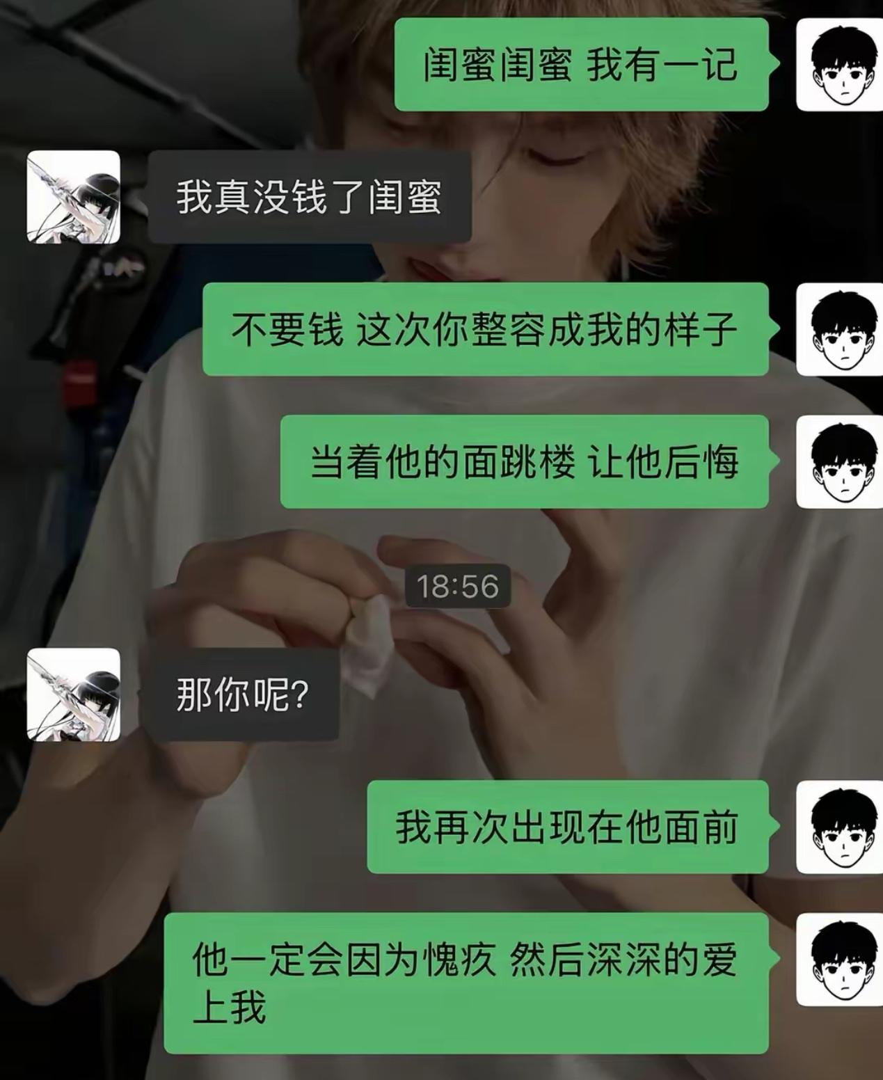 失恋之后脑洞大开，找闺蜜商量复仇大计。
不用借钱，就请闺蜜整容成我的模样，到前男
