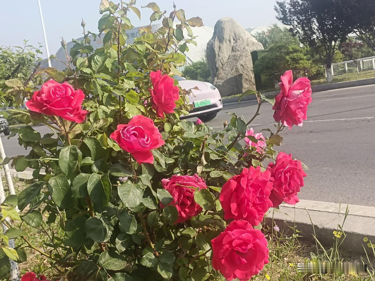 什么才是真正的相爱,相吸相伴?真正的相爱，初见心生欢喜，久处依旧心安。遇事彼此体