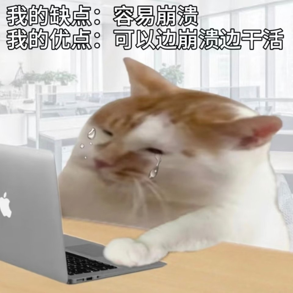 坤续忙ing lucky的碎言碎语