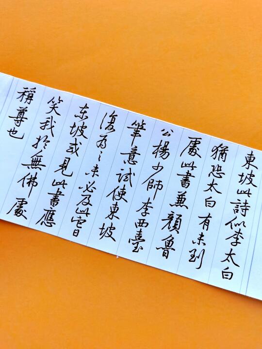 硬笔临黄庭经跋苏轼《寒食帖》