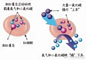 情侣洗完澡双双中毒房东称晕堂 所有含碳的物质燃烧不充分时都会产生一定量的一氧化碳