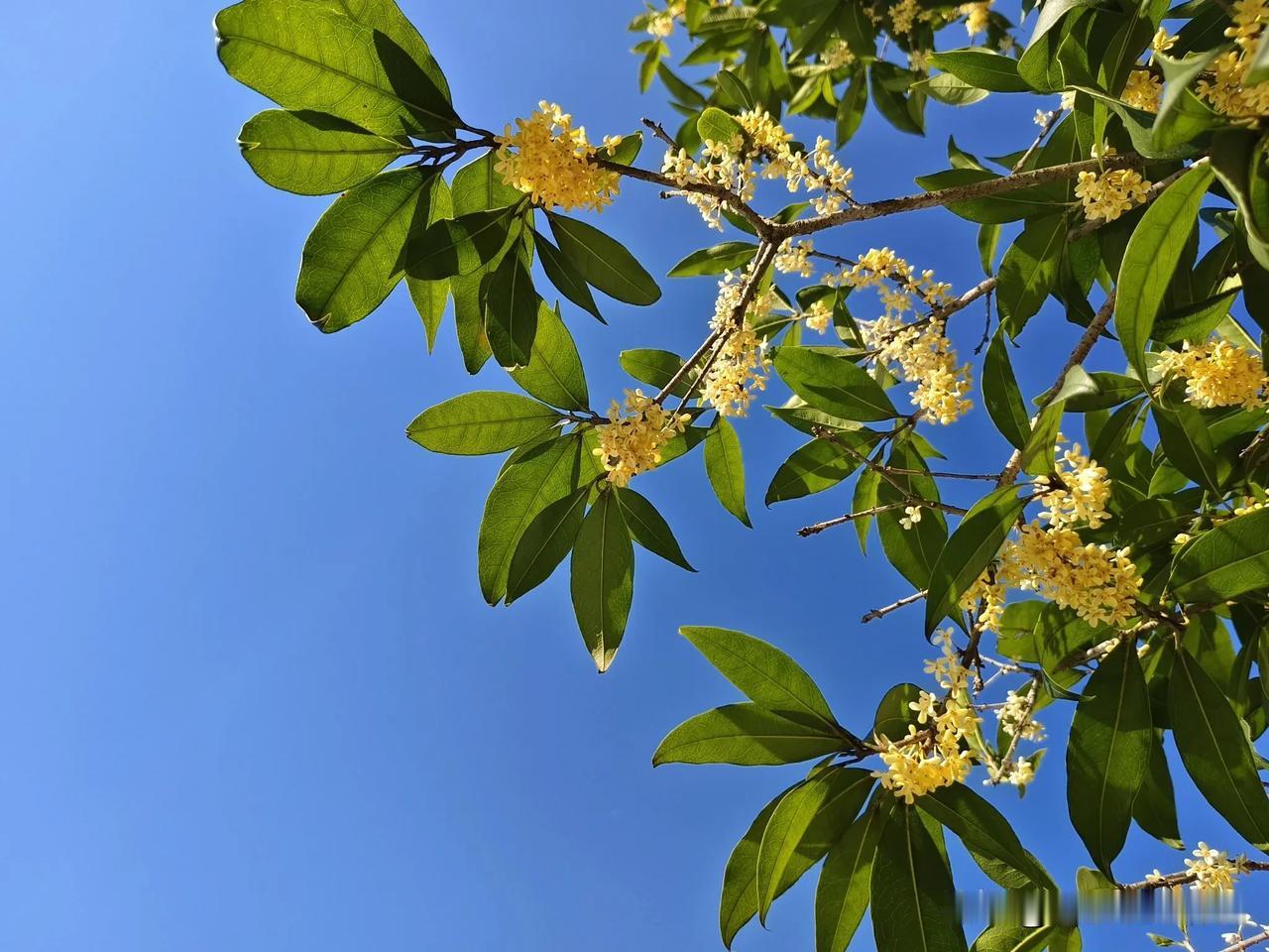 明·杨慎
滚滚长江东逝水，浪花淘尽英雄。
是非成败转头空。
青山依旧在，几度夕阳