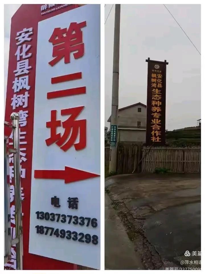 联盟村卖鸡的事，王胖昨天直播说黑粉五宗罪，其中之一是给联盟村的养殖户打电话。
那