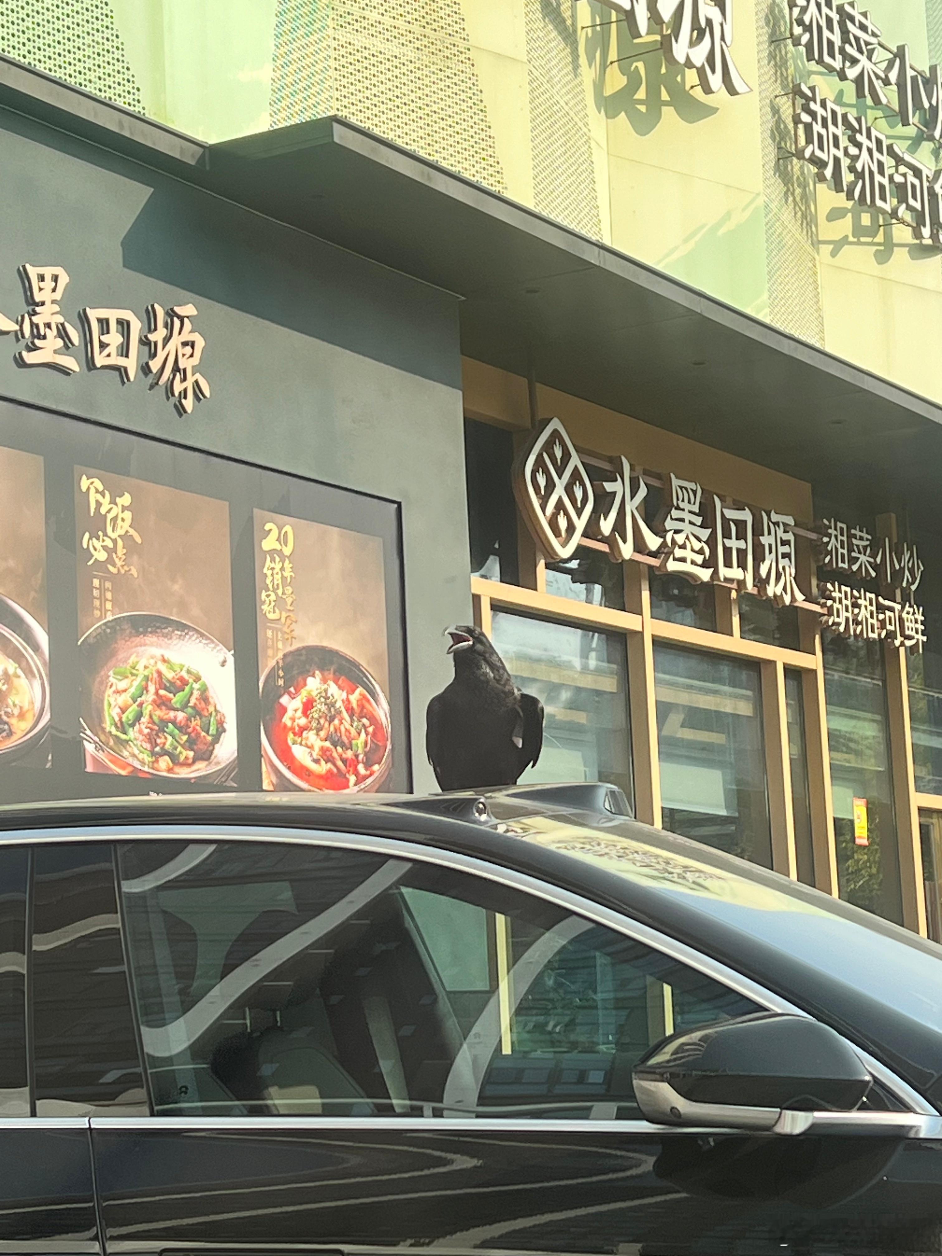 蔚来ET7的L5级别世界大模型提前曝光吗？还配备了AI仿生鹰眼无死角雷达大v聊车