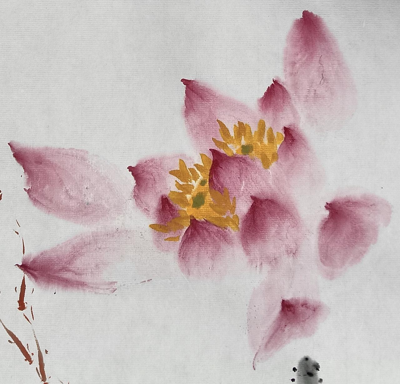 荷花随笔