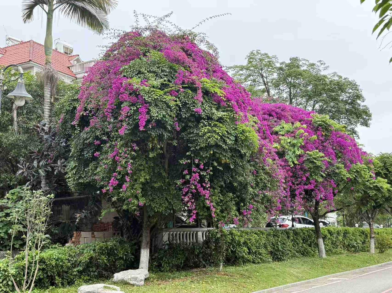 我的今日状态：🏝️旅行度假
我这里的天气：🌈雨过天晴