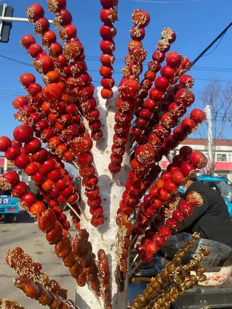 12月18日，山东省东营市卖冰糖葫芦的大叔儿子因癌症去世，留下三个年幼的孩子。许