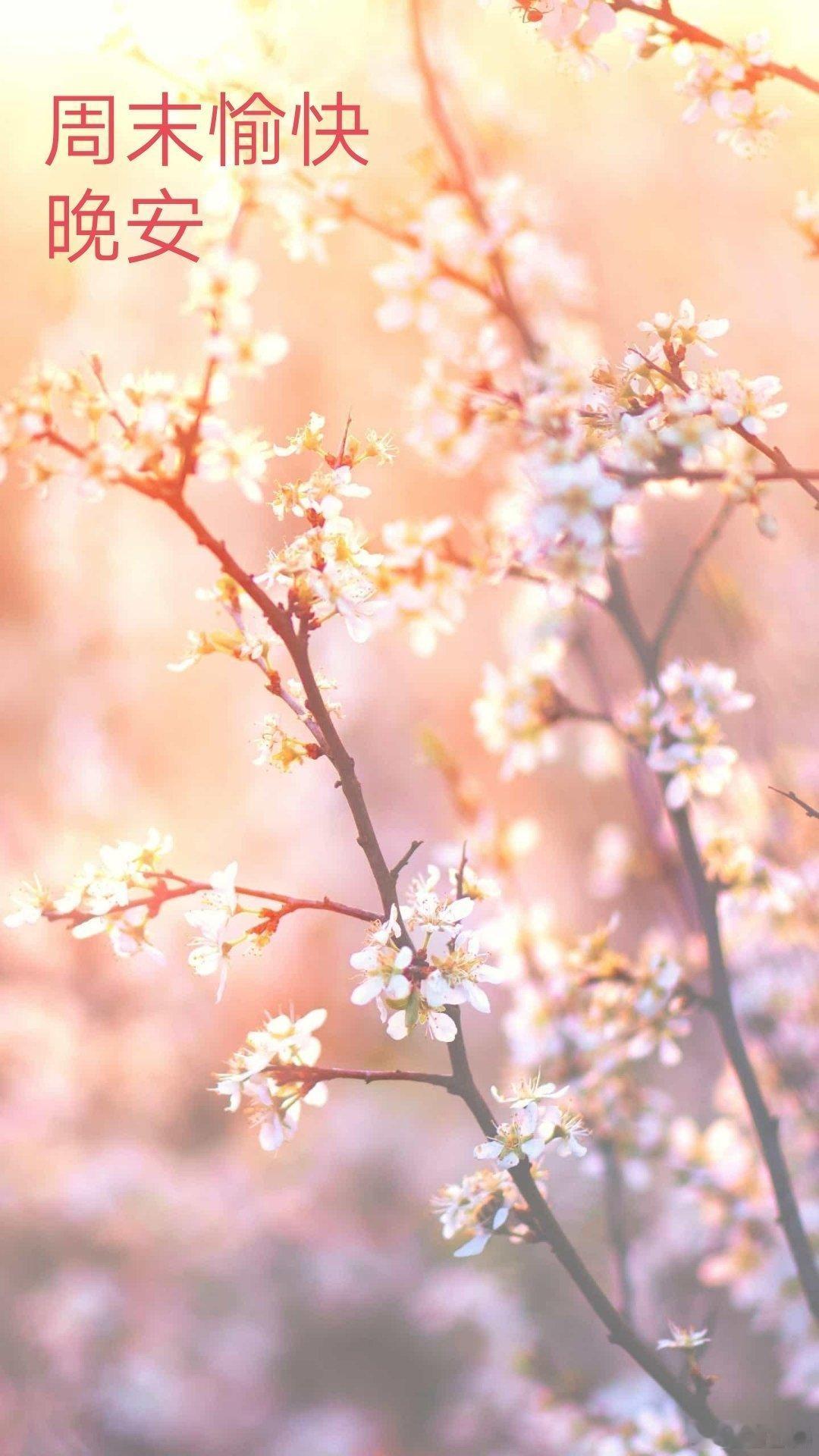 人生微语晚安晚安心语晚安,好梦晚安武汉同城晚安武汉晚安        迷茫时读读