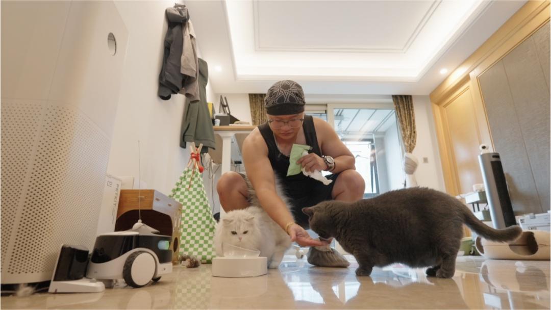 9天上门喂猫收8100元！宠物托管师日入近千？揭开“吸猫赚钱”背后的真相
 
“