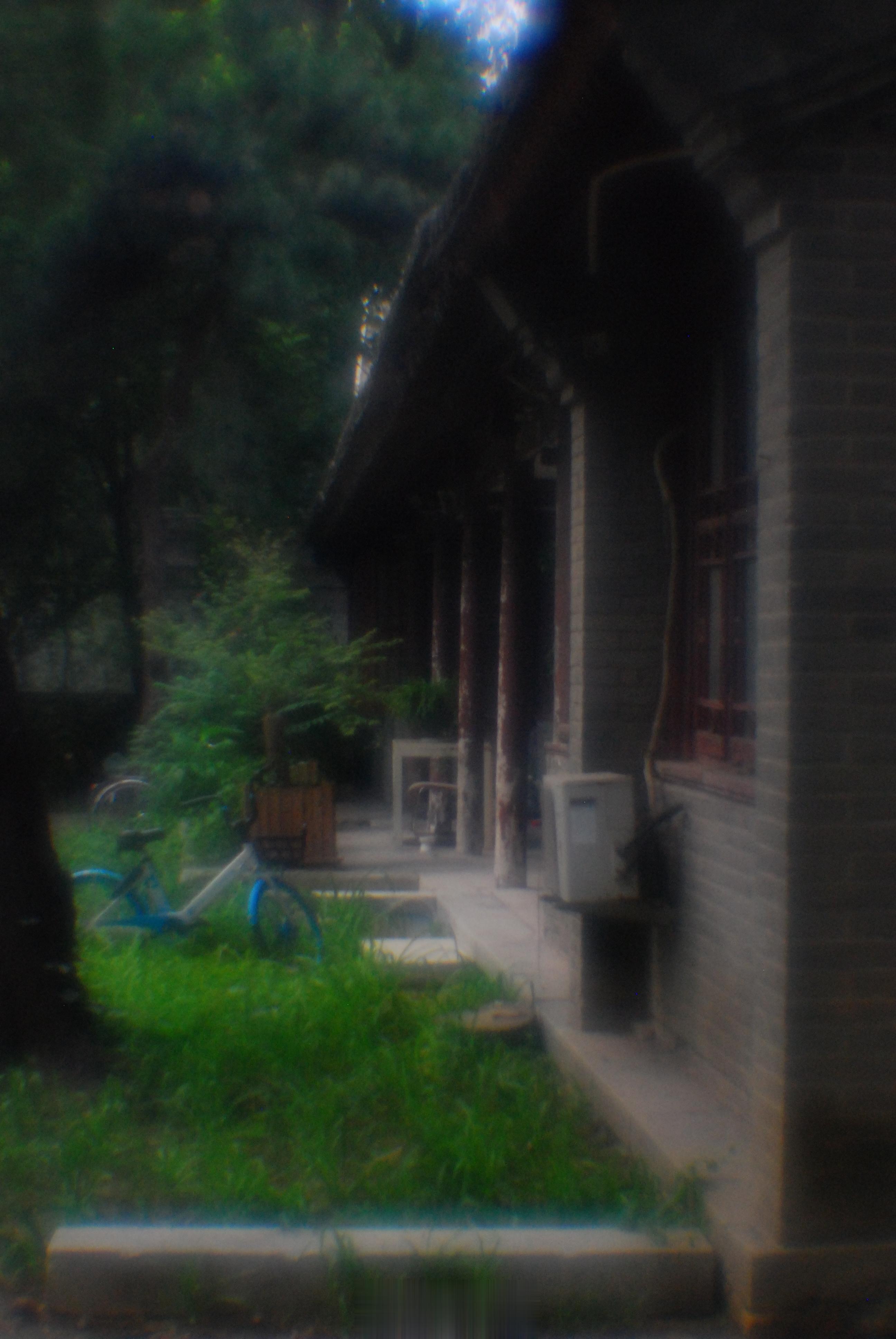 #馒头控的日常# 快乐地掏出D80和那个大清光学的头，还是那个熟悉的味道[努力]