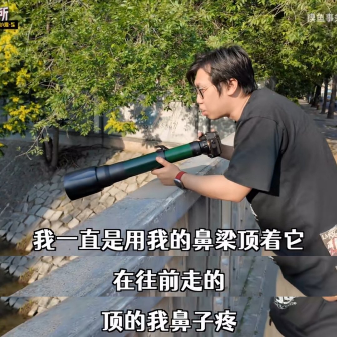 看多了一些……的东西，我对鼻梁这个部位感觉已经有点色情符号化了，就是用来顶着什么