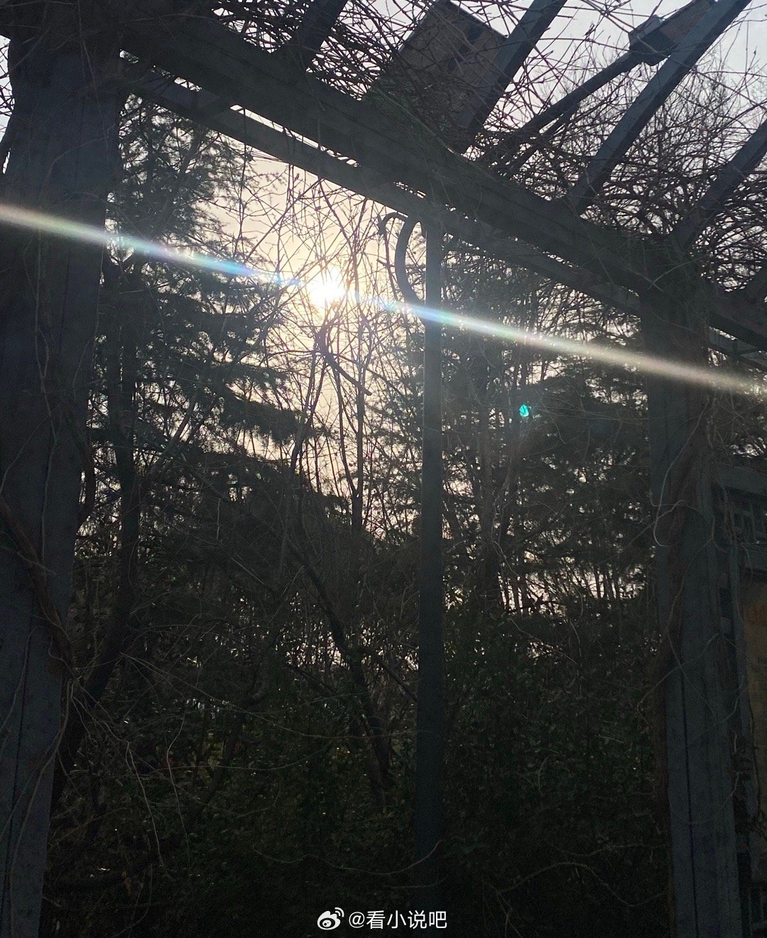 如果，我是说如果，我们的灵魂共鸣，你为何不来找我呢？ 