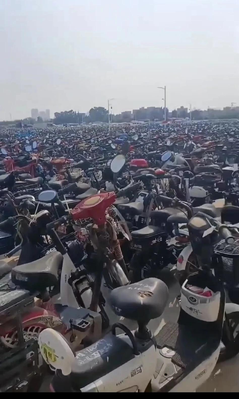 这里不是电动车生产线
却拥有成千上万辆的电动车
这里不是电动车展
却拥有种类齐全