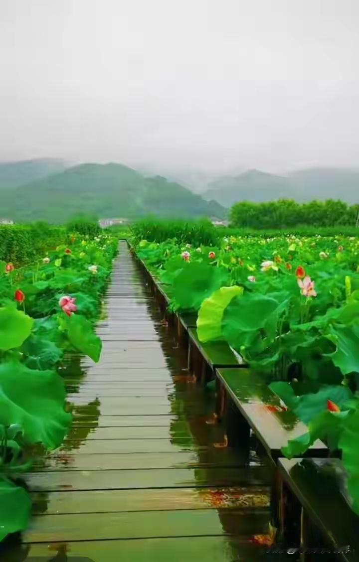 医院火爆的底层逻辑？
 
1. 人口结构变化：老龄化加剧，慢病、老年病高发，就医