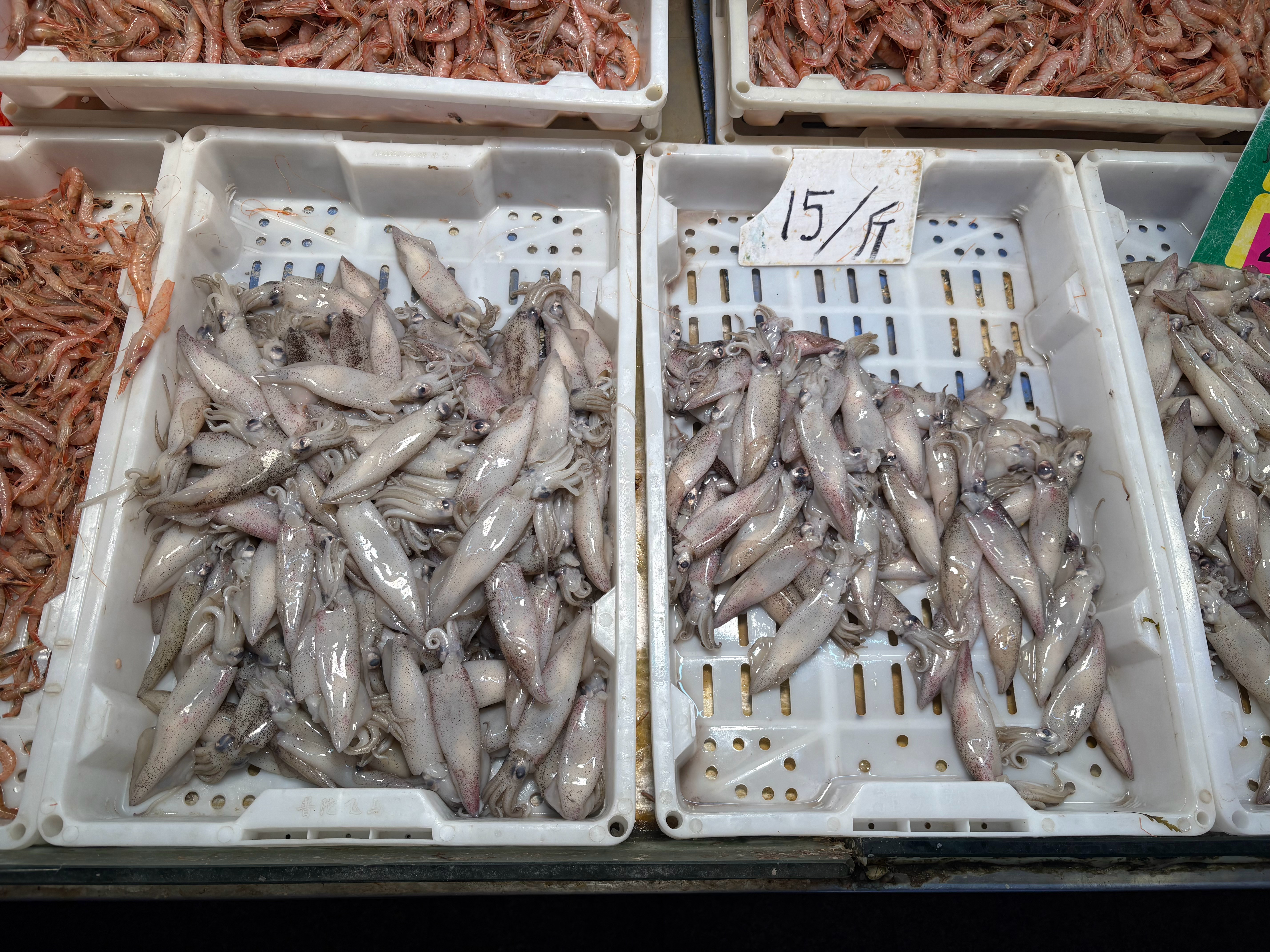 市场常见的 乳光枪乌贼/Doryteuthis opalescens，商品名加州