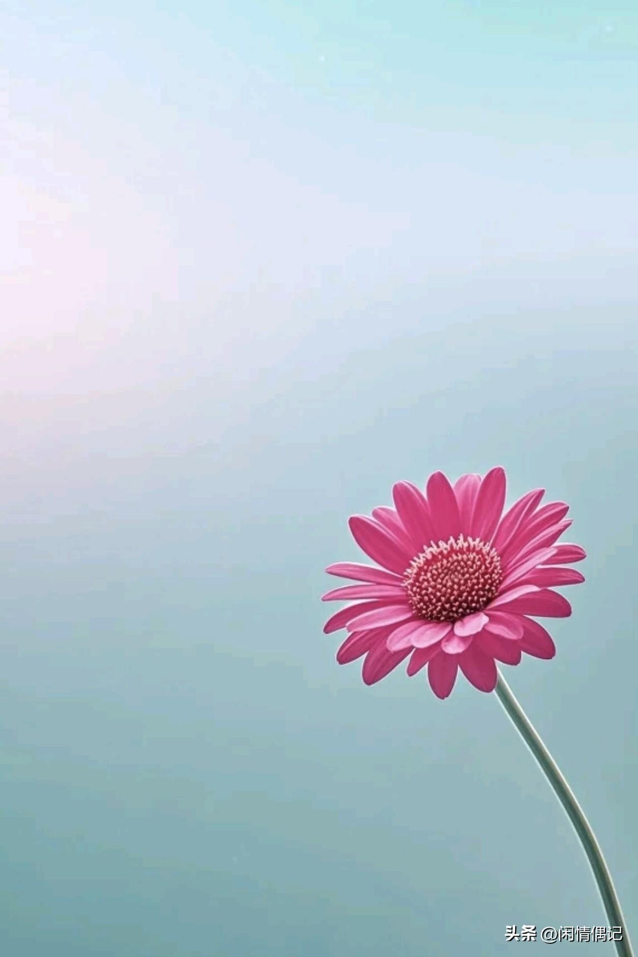 刷手机看到伊朗那边的新闻，心里堵得慌。

屏幕里是断壁残垣，是哭喊着找妈妈的孩子