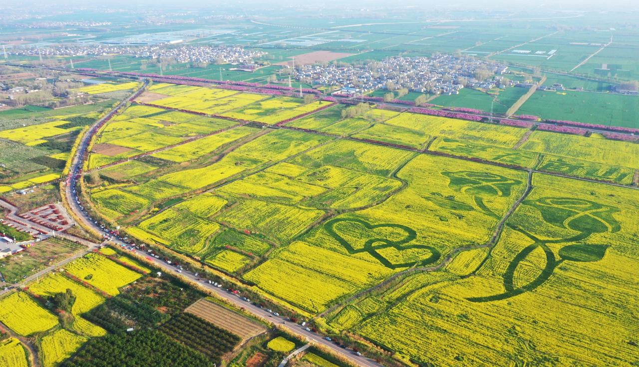 首山油菜花开美景如画！
从官网了解到，当下，襄城县湛北镇首山千亩油菜迎来盛花期，