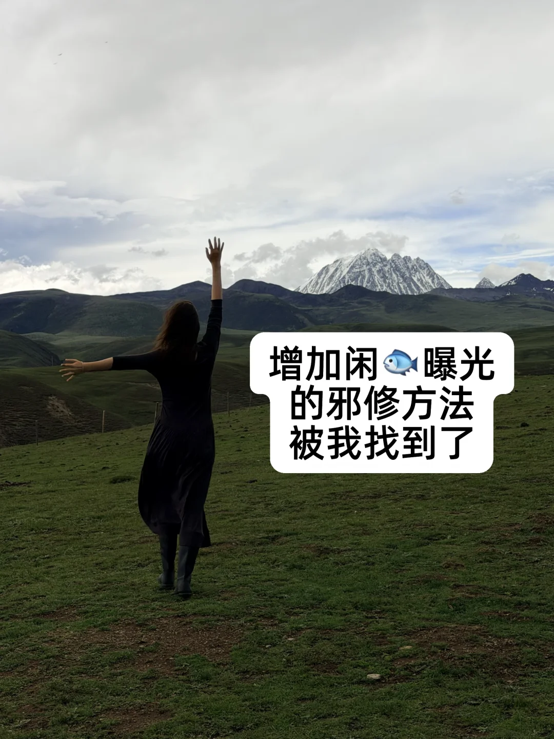 海鲜市场有自己的邪修指南！