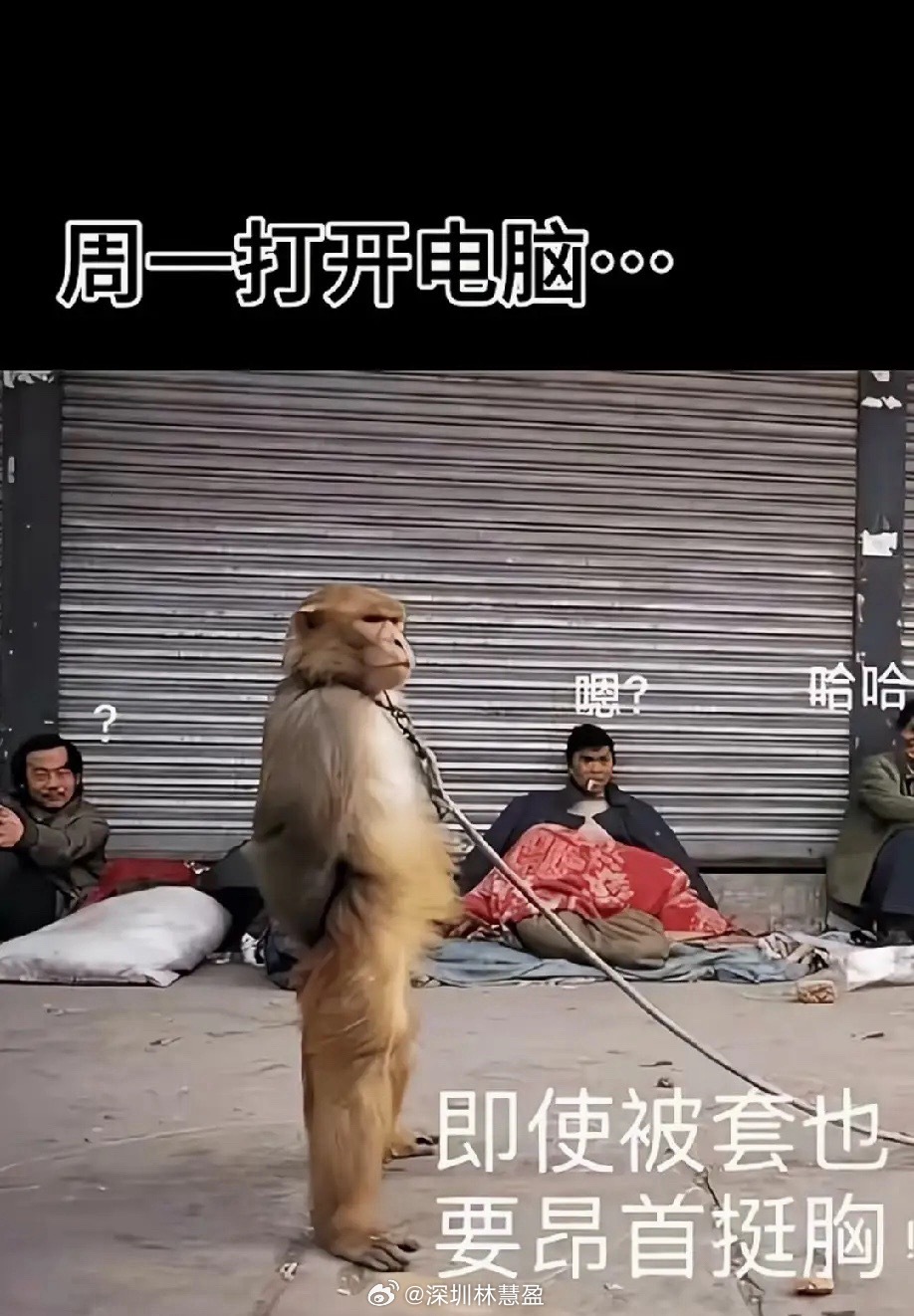 “易中天”的“天”出业绩了，不说落井下石吧，但是不是嫌场面还不够乱吗？天孚通信是