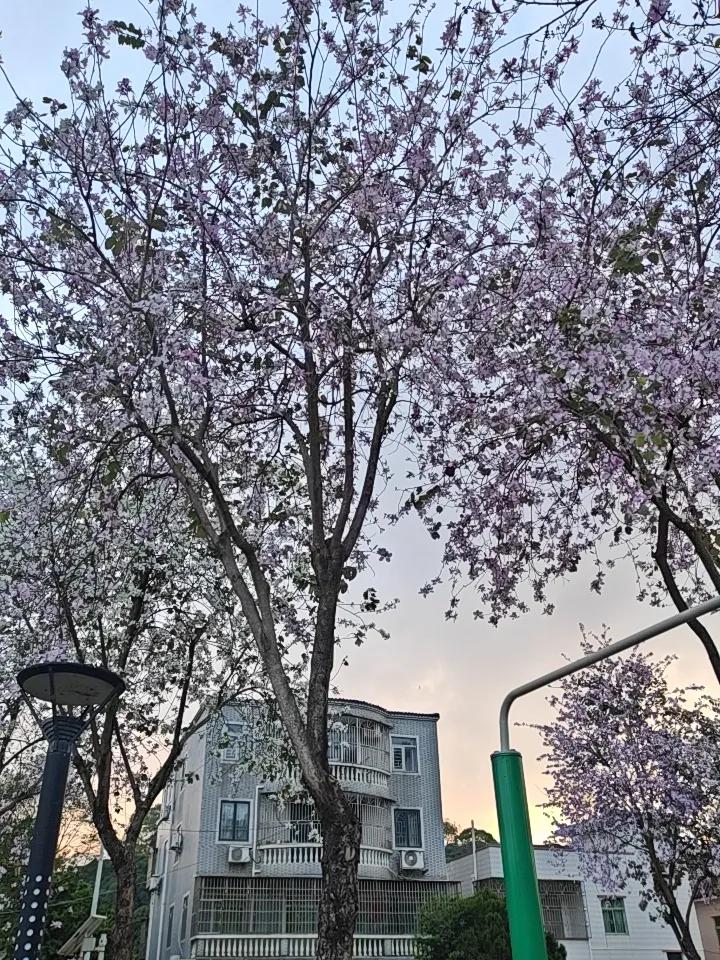 怎么样让自己保持快乐的心情不开心的时候出去看看风景，看看人和事，车水马龙，想一想