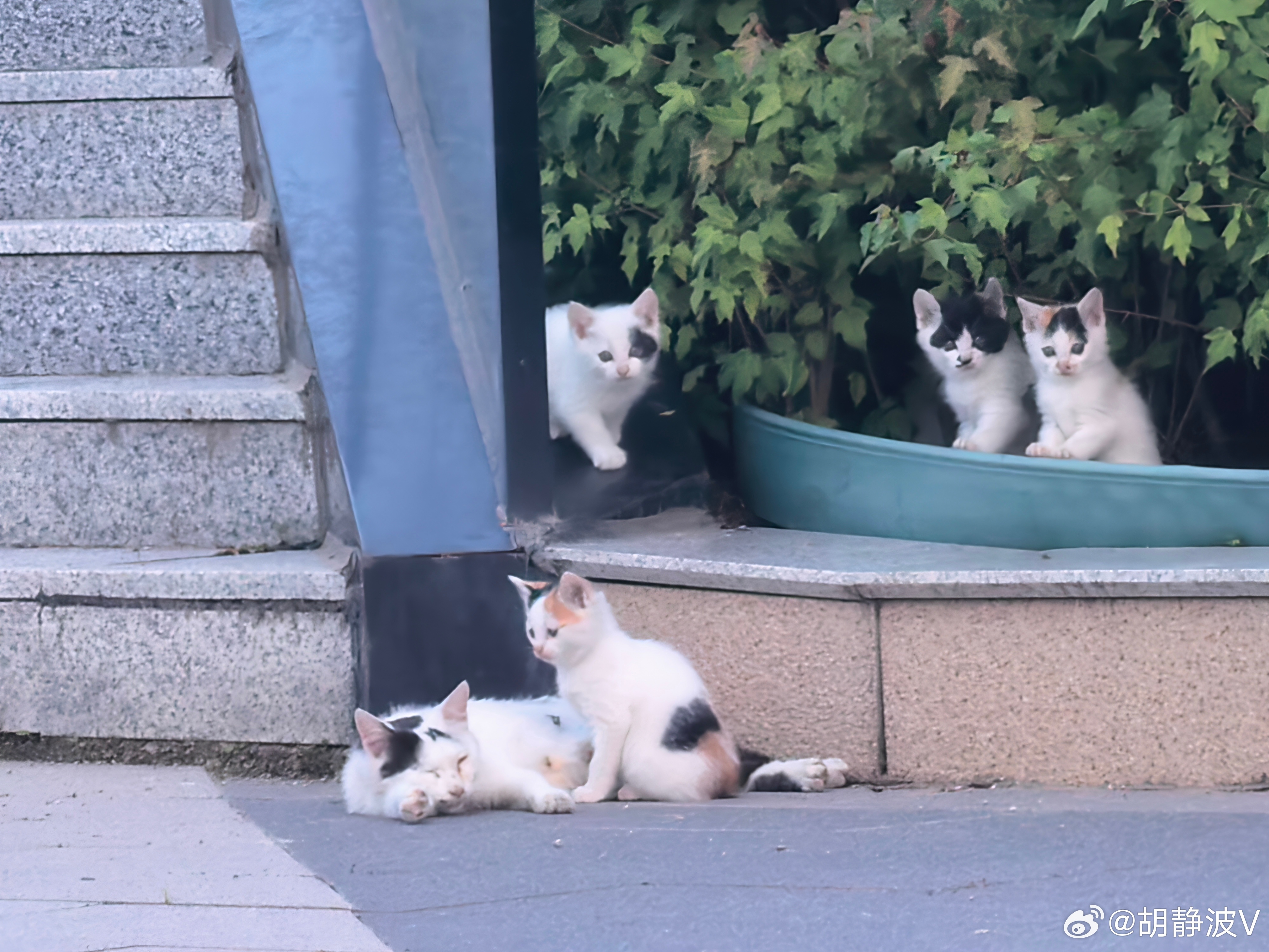 治愈系胡美美日常 长春·东北亚职教创业园