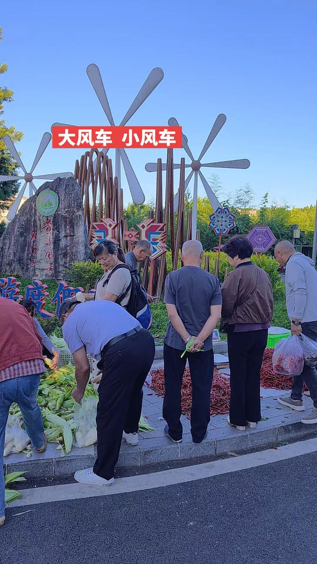 大风车·小风车。街景随拍 记录真实生活