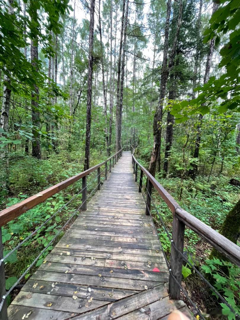 昨去看镜泊湖与火山口国家森林公园。观湖，有细雨，离开后忽而放晴，小有遗憾，但总是