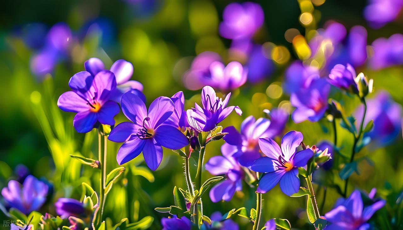 友善是一种病，病就病在企图取悦所有人。过度友善的人，害怕拒绝，因为他们看来，拒绝