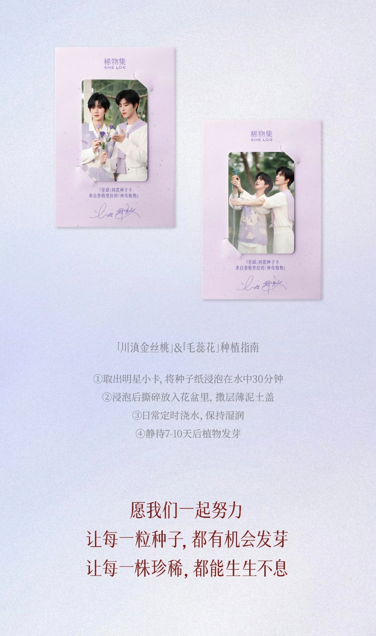 这辈子没有成功种活任何植物的我真的能把这两种子种活嘛 ​​​