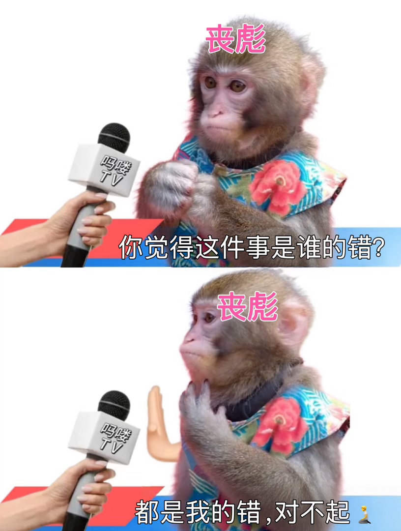 功夫女足丧彪爆发演我上班心情功夫女足丧彪sorry了全场观看《功夫女足》狠狠共情