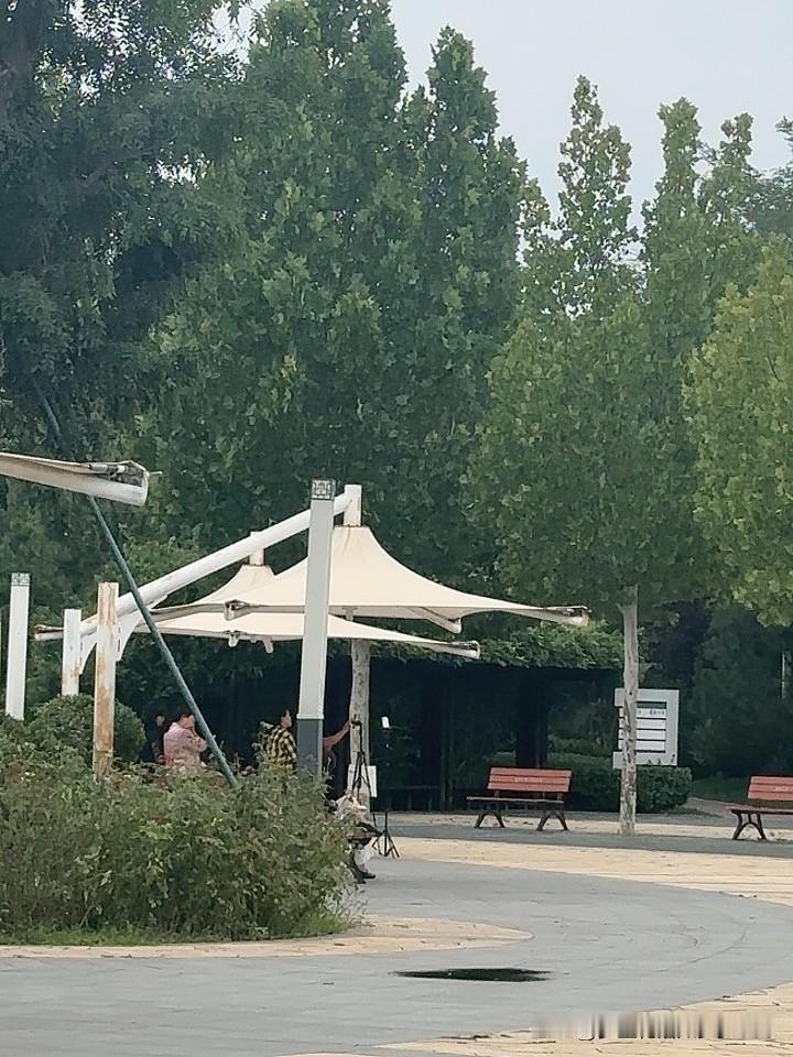 现在去公园，发现直播拍短视频的人，真的是太多了。

想问一下，这真的能挣到钱吗？