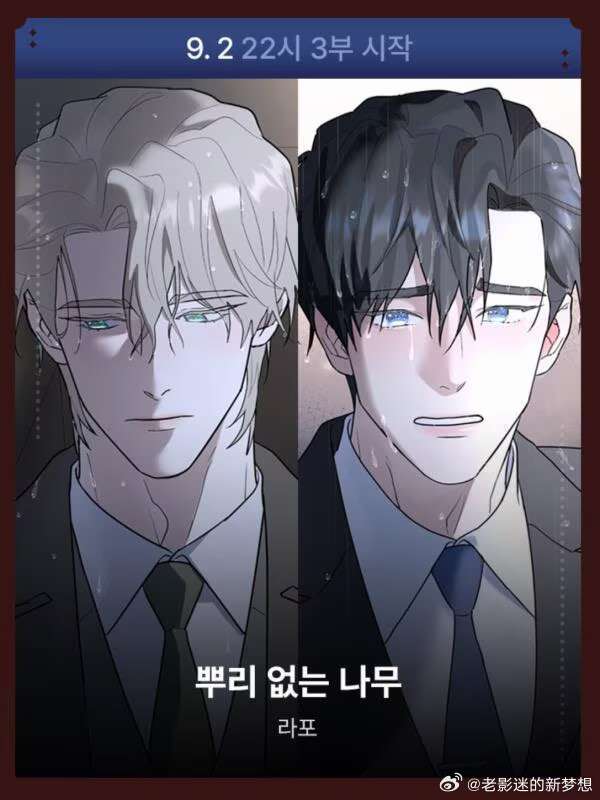 无根树 第三季权熙瑞，车泰京回归 （9月） （