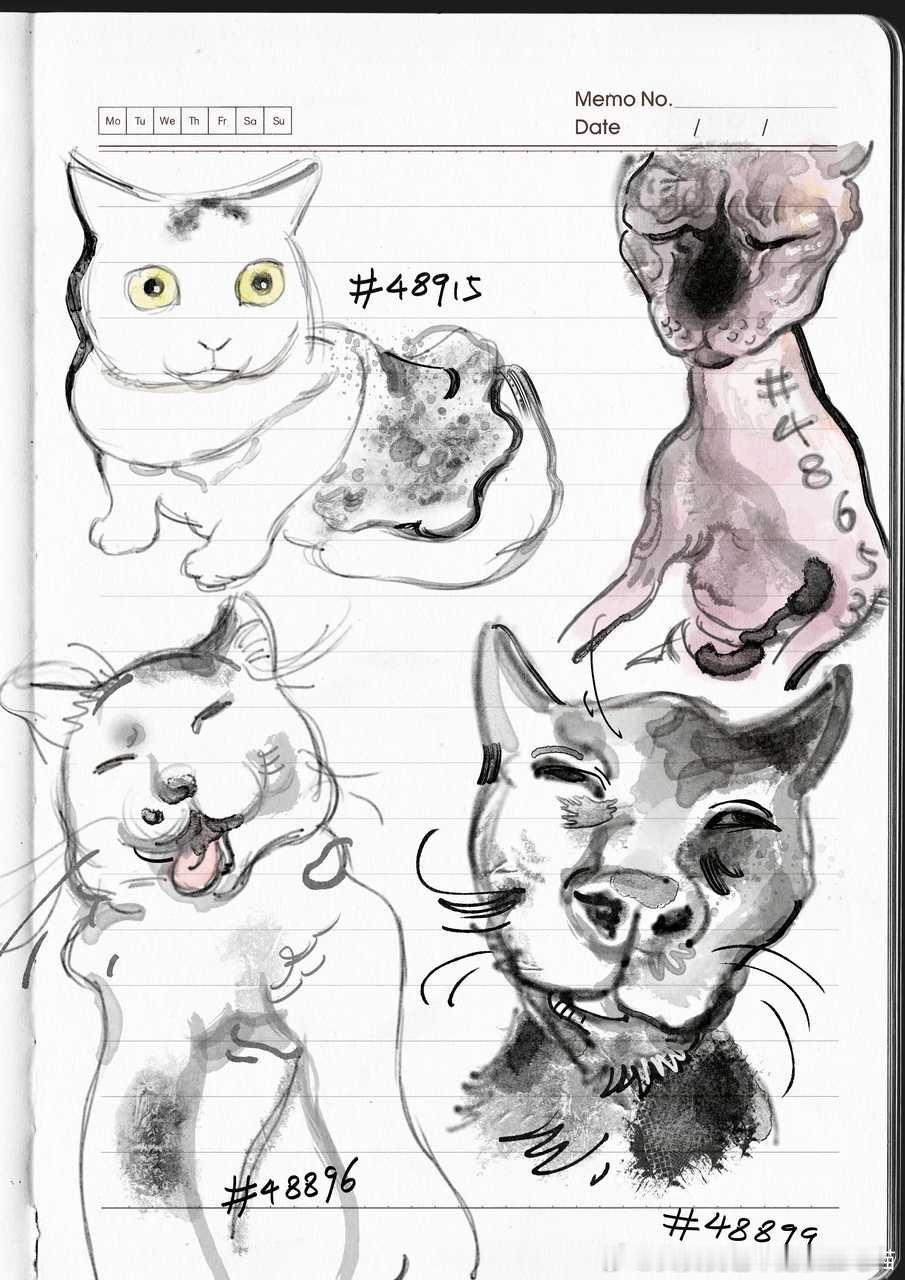 49644【丑猫】摸丑猫卢浮宫