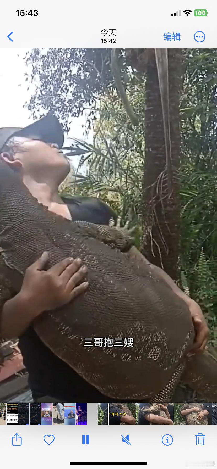 自然界温馨一幕，三哥抱三嫂，三嫂非常兴奋，要和三哥白头到老。 ​​​