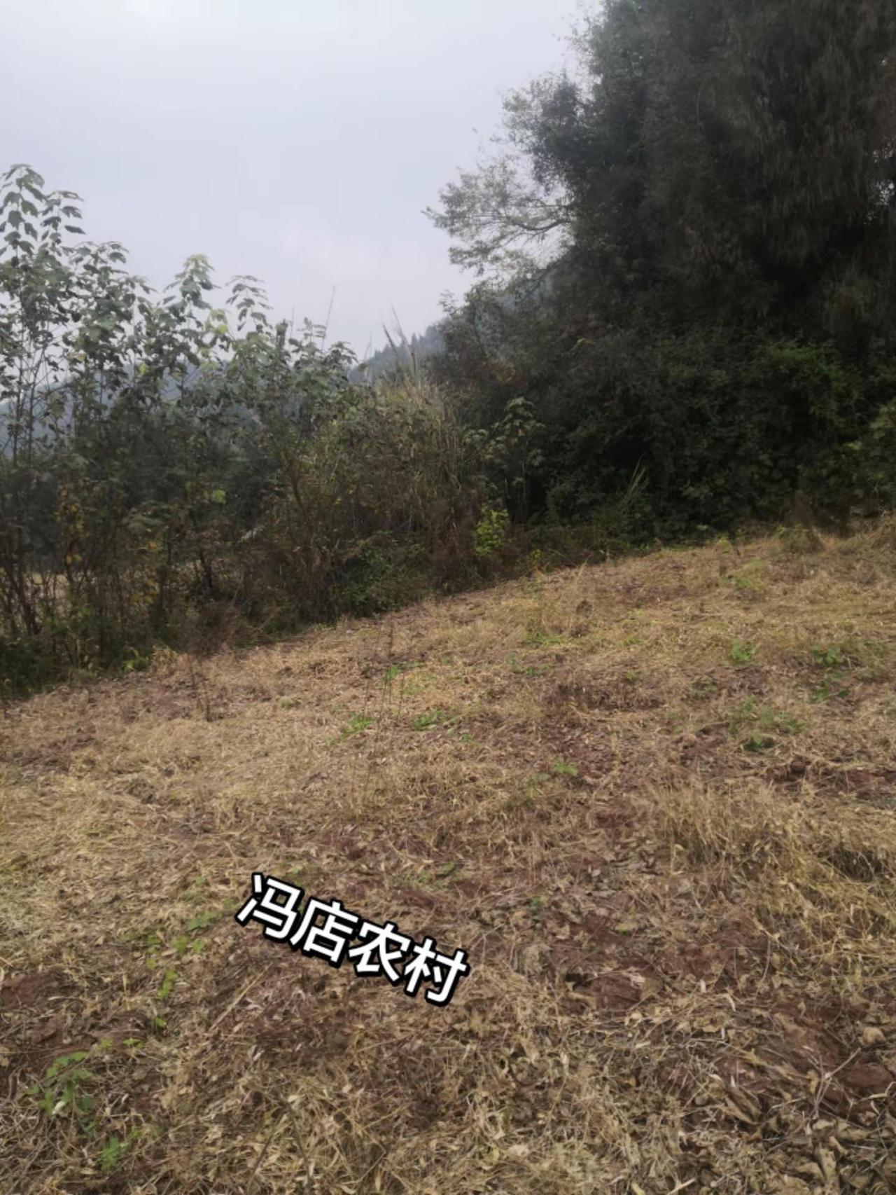 山顶上的风景，中江农村，欢迎你我的农村生活 农村生活日常 农村日常生活 乡村田野